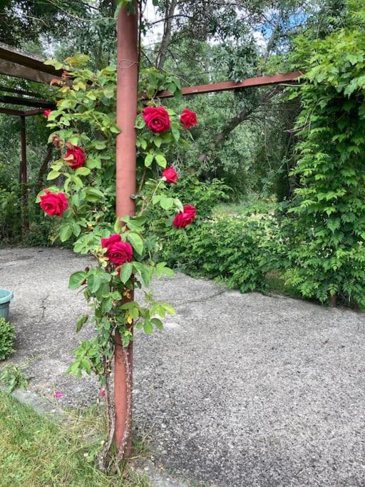 Casa Rural La Fresneda De Tenzuela Segovia Kültér fotó
