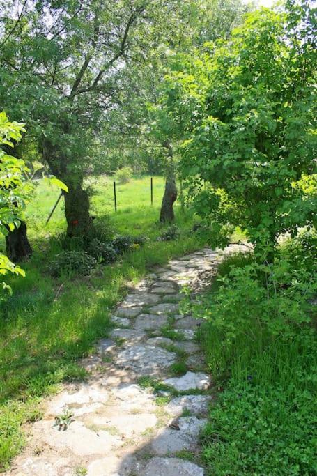 Casa Rural La Fresneda De Tenzuela Segovia Kültér fotó